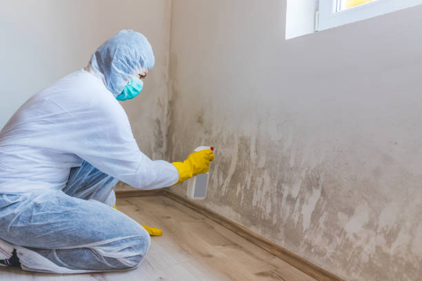 Mold inspector in Altamahaw performing thermal imaging