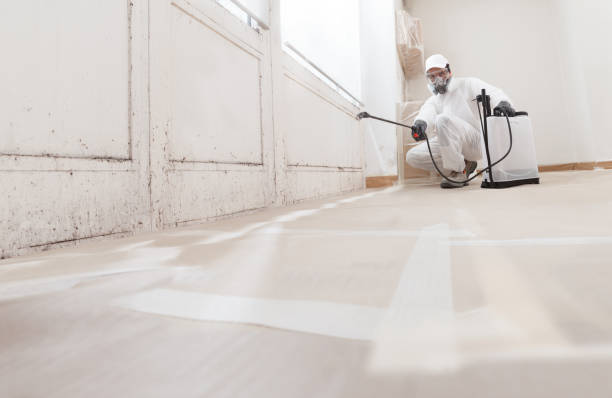 Black mold remediation team in Altamahaw